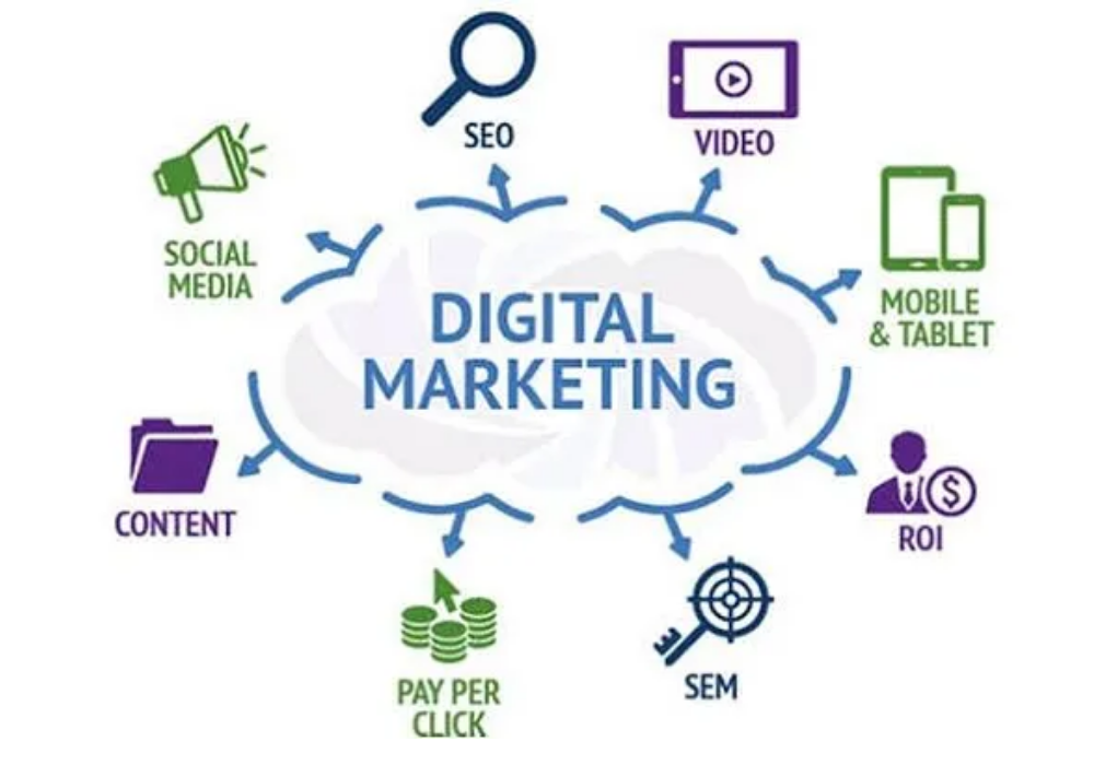 Video and Animation in Digital Marketing